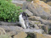 Albums/20060200-New Zealand 2006/20060313-Catlins/37